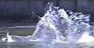 Click Here For Video