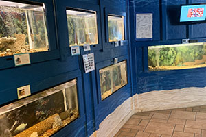 Estuary Aquariums